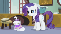 And thus tiny pet sweaters were brought to Equestria