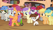 S04E15 Scootaloo rozmontowuje hulajnoge.png