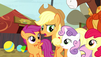 Applejack asks Sweetie Belle what she's talking about S5E6