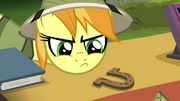 Daring Do collector sneers at horseshoe S4E22