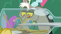 Discord making a wagon in a bottle S8E10