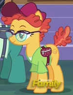 Orange Slice ID S6E12