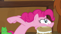 Pinkie Pie eats her yak cake in one bite S7E11