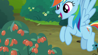 Rainbow Dash "good enough to eat!" S7E16