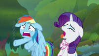 Rainbow Dash and Rarity gasping for air S8E17