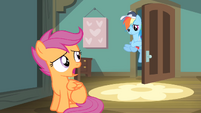 Dashie at the door.