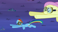 Rainbow Dash glad to see Fluttershy.