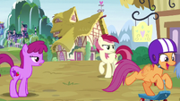 Scootaloo speeds past Berryshine and Rose S9E22