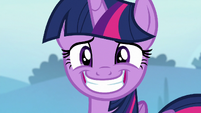 Twilight Sparkle's eye twitching S6E25