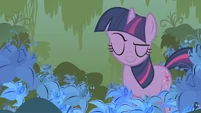 Twilight still explaining S1E09