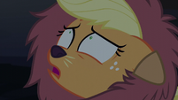 Applejack "that's what we were supposed to do!" S5E21