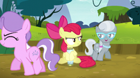 Diamond Tiara and Silver Spoon circle Apple Bloom S5E4