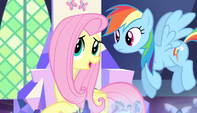 Fluttershy "maybe I'd better go with them" S5E1