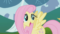 Fluttershy explaining rabbit roundup to Applejack S1E04