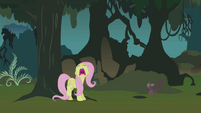 Fluttershy freaks out in the Everfree forest S1E17
