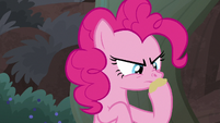 Pinkie Pie smelling the fly repellent S8E25