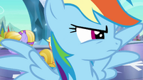 Rainbow Dash looks to the right S3E2