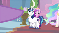 Shining Armor protecting Cadance from Twilight's pointing hoof.