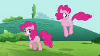 Pinkie y Pinkie Pie y su duplicado salen del bosque.