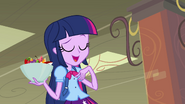 Twilight "I've decided to run for Princess" EG