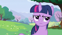 Twilight Sparkle explains S2E25