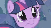 Twilight being adorably worried.