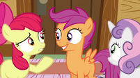 Are you sure Scootaloo?