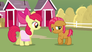 Apple Bloom and Babs Seed S3E04