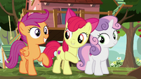 Apple Bloom introduces herself and her friends S8E12