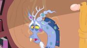 Discord with spots on his body S4E11