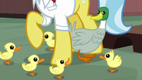 Duck and ducklings around Dr. Fauna's hooves S7E5