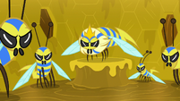 Flash bees and their queen glare at Meadowbrook S7E20