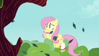 Fluttershy worried S2E22