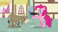 Pinkie Pie and Cranky 'I can fix this!' S02E18