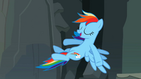 Rainbow Dash "Right, you guys" S2E07