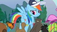 Rainbow Dash with the animals S2E07