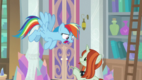 Rainbow Dash yells at the photographer S8E13