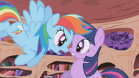 Rainbow Questions Twilight S1E02