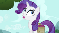 Rarity scoffing "what does a bird know" S4E23