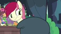Rose trying to look at Rarity's mane S7E19.png (642 KB)