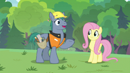 S07E05 Hard Hat i Fluttershy