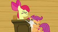 Scootaloo bumps into the lectern S6E4