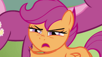 Scootaloo looking disgusted S2E17