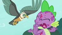 Spike luring the roc away from Zecora S8E11