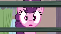 Sugar Belle making a realization S7E8.png (666 KB)