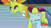 Thorax ruffling Ocellus' mane S8E2