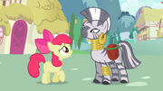 Apple Bloom apologizing to Zecora S2E06