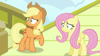 Applejack and Fluttershy worried all over again S6E20