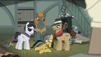 Daring Do incapacitated S4E04