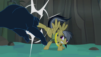 Daring Do kicking panther S4E04